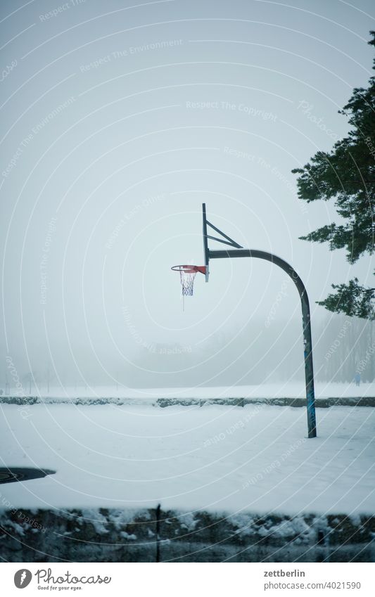 Baluschekpark with basketball hoop again baluschek park Tree Berlin Germany hazy Haze Ice February Closing time holidays Frost Capital city Sky Cold chill