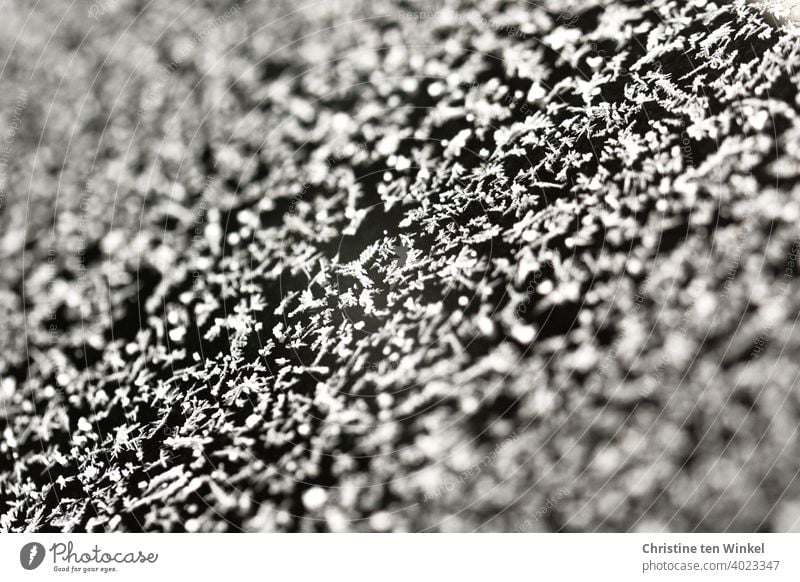 Ice crystals on a car window. Macro shot with shallow depth of field. ice crystals Frozen Cold Winter Glass Car window Windscreen Frost White Black