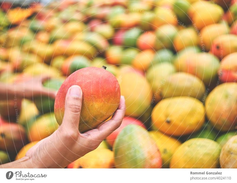 Young Woman Choosing Mango in Grocery Store. Concept of healthy food, bio, vegetarian, diet. ecological agriculture organic food vitamins retail option variety