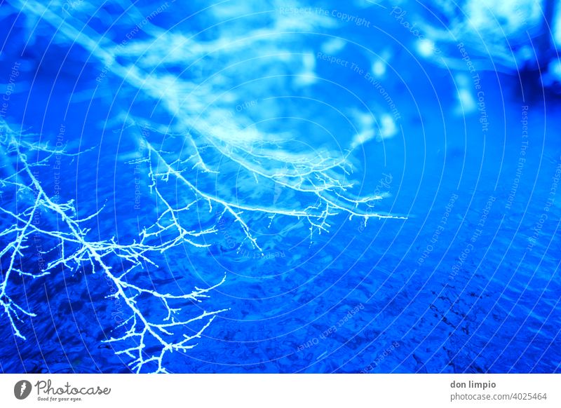 the other day by the brook Brook Banks of a brook Exterior shot Deserted Nature Contrast Colour photo Tree branches Branches and twigs veins Winter Frozen Blue