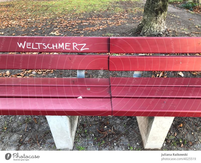 Bank with the word Weltschmerz weltschmerz Sadness Loneliness Park bench Grief Deserted Exterior shot Colour photo Calm Day Autumn Relaxation Transience