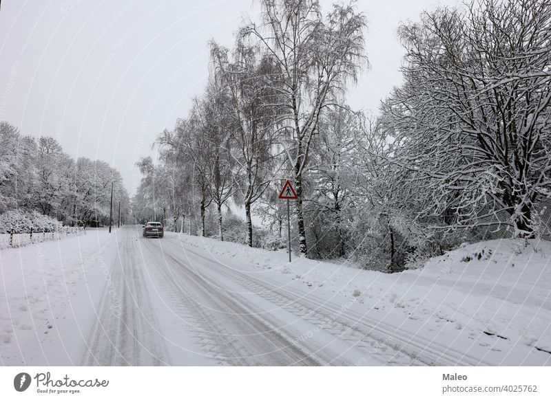 Snowy road on a clear winter day snow snowy blizzard cold december frost ice season weather white landscape scene field outdoor icy light forest horizon nature