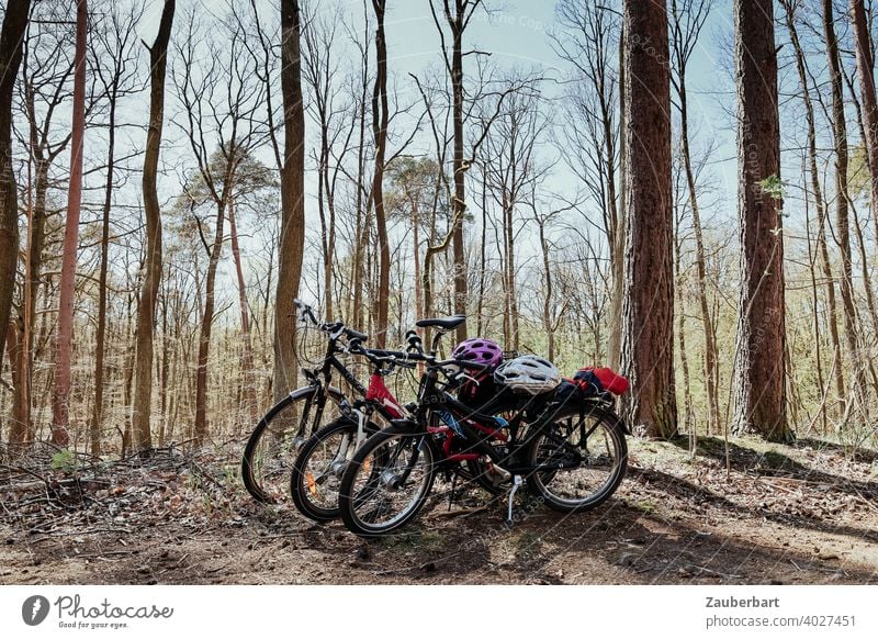 Bicycles with helmets on bike tour in the forest Cycling Cycling tour Kiddy bike Family Forest Sun Bike helmet Trip Weekend Driving Leisure and hobbies