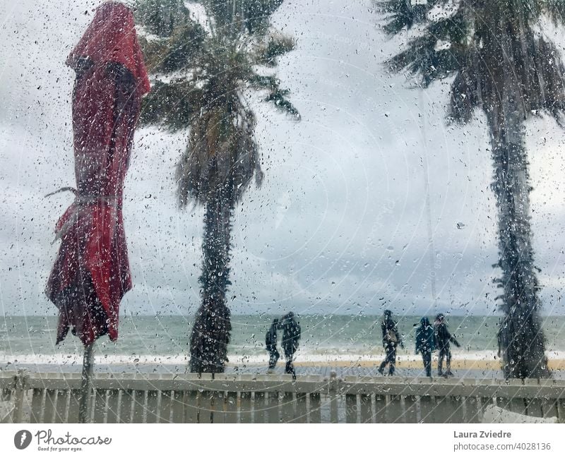 Raindrops on the window Window Drops of water Nature Plant Palm tree Water Ocean Beach people Bad weather Autumn Wet Weather Colour photo Detail Day Environment