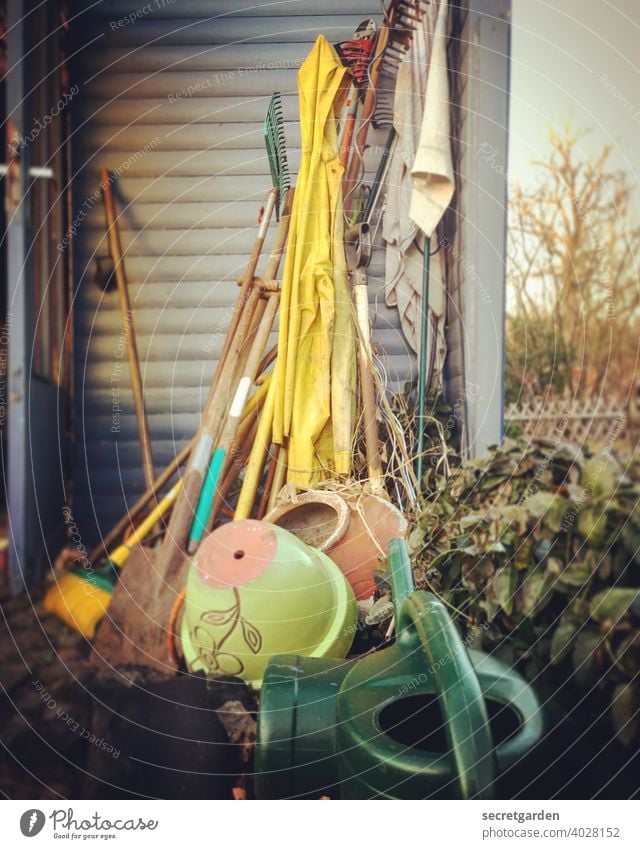 Off through the hedge! Gardening Garden fence Gardenhouse Garden plot Watering can Exterior shot Tool Shed Devices Rake Clay pot Hedge Nature