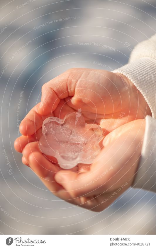 150 | A child holds a flower ice-cream mold in his hands in the sun Ice Flower children's hands stop ice shape Hand Colour photo Girl Boy (child) Close-up