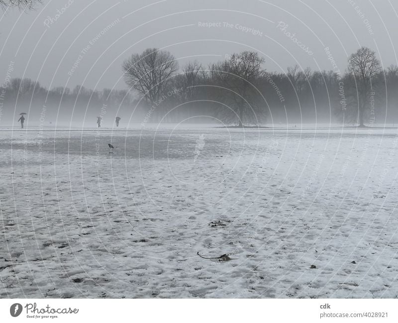 FogLandscape Park Winter Snow Thaw trees people strollers Bird Crow 3 persons Monochrome Moody sad dreariness Gray black-white White wide Nature Park landscape