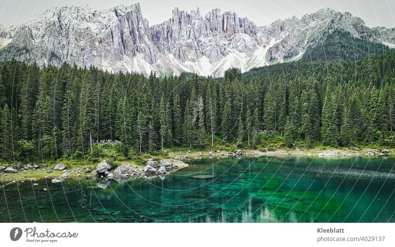 Karersee in the Eggental Dolomites - Water mermaid?! Myths and fairy tales?! latemar Rose garden Mountain Peak Beautiful weather pale mountains duckweed