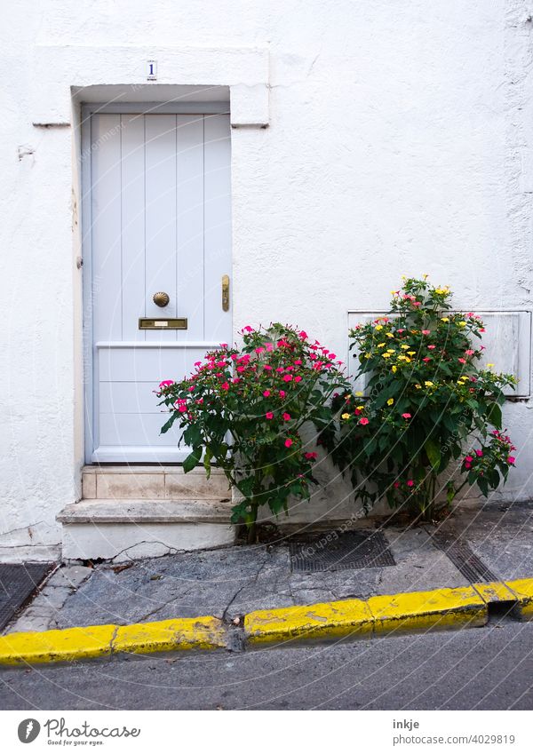 Cuban road Colour photo Exterior shot Deserted Day House (Residential Structure) Facade Havana Vacation & Travel Town City trip Old town Multicoloured