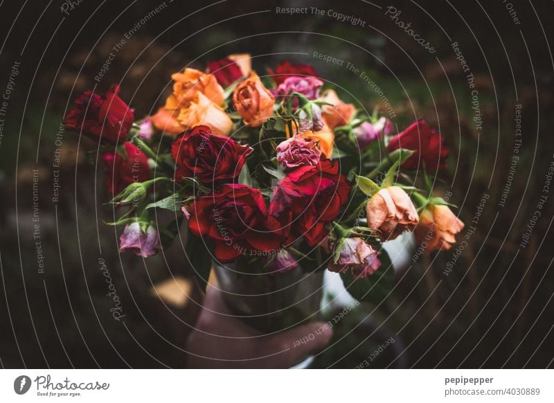 withered bouquet Bouquet Flower faded flowers withered plant Plant Blossom Nature Colour photo Spring Close-up Decoration past times Blossom leave Vase