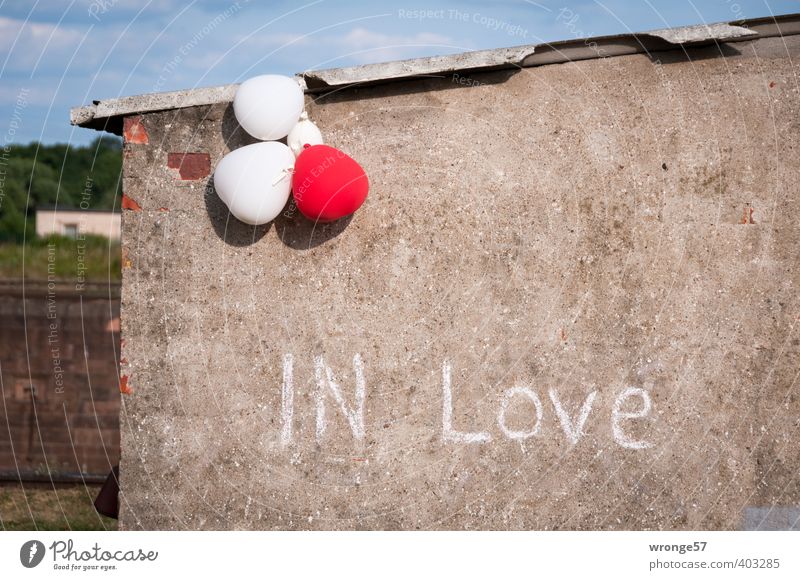 in love Magdeburg Germany Saxony-Anhalt Europe Town Deserted Industrial plant Ruin Harbour Building Wall (barrier) Wall (building) Characters Gray Red White