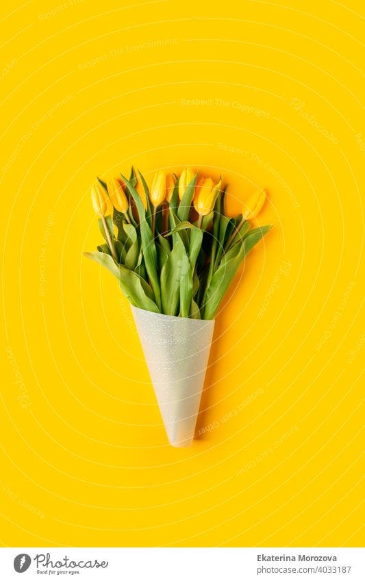 Yellow tulip flowers bouquet on yellow background. Flat lay, top view, copy space. Banner for seasonal holiday, springtime concept, International Woman day, 8 march, Happy Easter greeting card