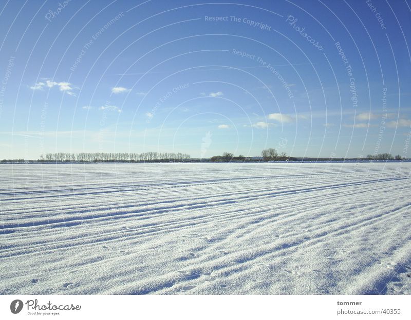 snowy landscape White Winter Cold Clouds Snow Sky Blue Tracks