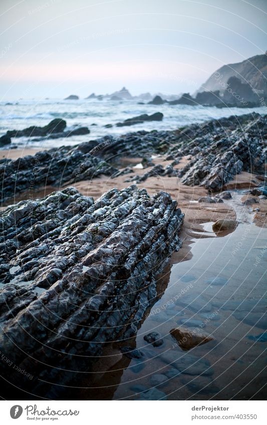 Rocky to wet Environment Nature Landscape Plant Elements Sand Water Sky Summer Bad weather Fog Waves Coast Beach Ocean Emotions Moody Endurance Unwavering