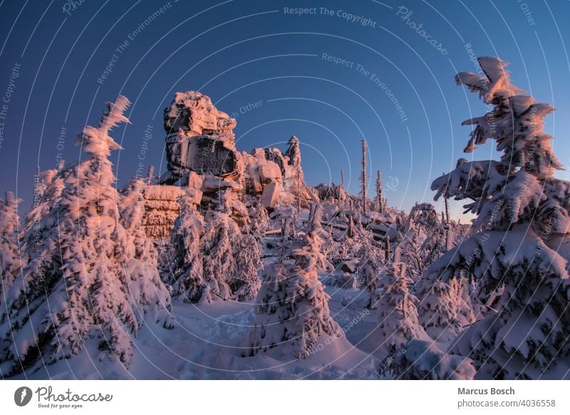 Winter landscape in the evening light Triple chair Triple chair rock Rock Frost Summit Rocks granite rocks Sky Coniferous forest forests Forest woodland