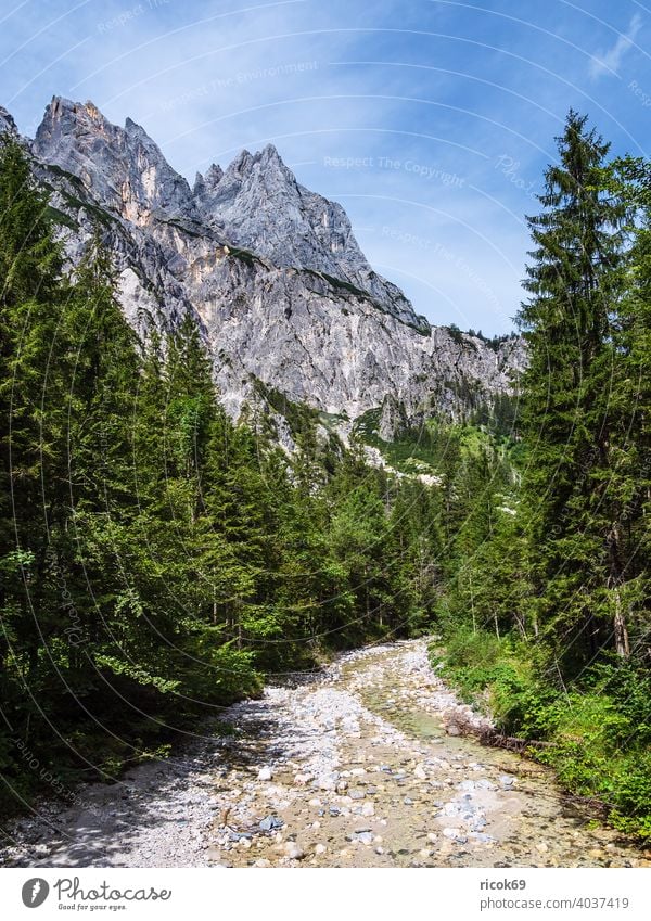 Landscape in the Klausbach valley in Berchtesgadener Land Klausbachtal semolina Berchtesgaden Country Bavaria Alps Ramsau Dolomites Mill horns mountain Tree