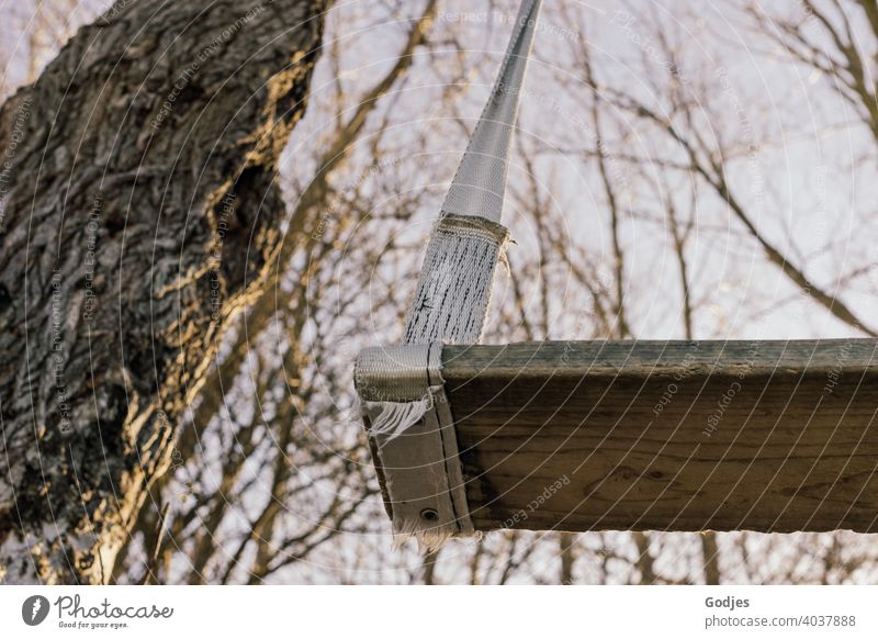 Homemade swing made of wood and tension straps hanging from a tree in the Natur| Corona thoughts Swing Playground Playing Child Joy Exterior shot Infancy