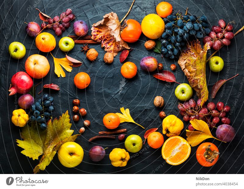 Harvest of autumn fruits harvest ripe fall autumnal vitamin variety collection food apple grape october mandarin raw natural organic fall fruits season