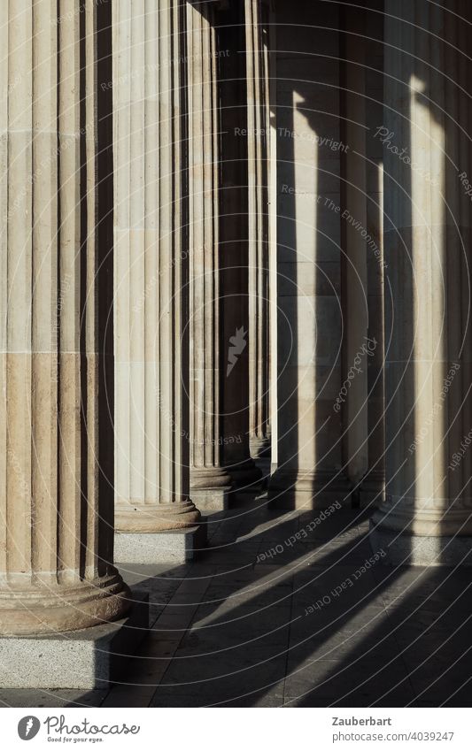 Doric columns of the Brandenburg Gate with sunlight and shadow Dorian Light Shadow Berlin Goal Capital city Tourist Attraction Monument Landmark Germany