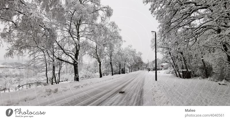 Snowy road on a clear winter day beautiful frozen trees view blizzard branch bright cold december driveway field forest frost frosty hill horizon ice icy