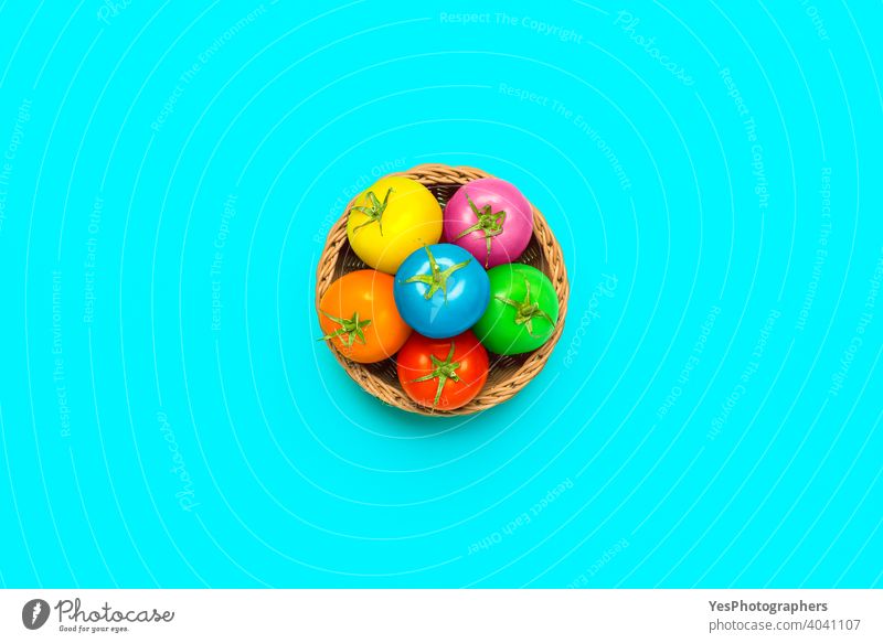 Easter concept with multi-colored tomatoes in a basket, top view above view abstract art blue bright childish colored background colorful coloured copy space