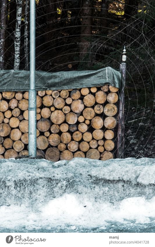 Stockpiling with firewood and only one empty beer bottle. Alcoholic anonymous, or drank a beer with pleasure? Stack of wood Lamp post Bottle of beer