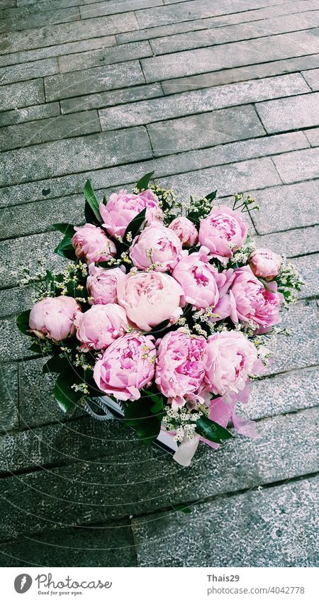 Elegant bouquet of a lot of pink peonies, heap of fresh beautiful pink peony flowers in full bloom, close up, top view. Flowery summer texture for background. Spring blossoms.