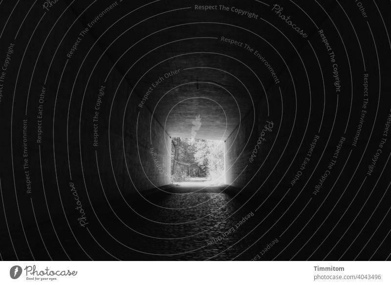 light at the end of the tunnel Light Light (Natural Phenomenon) Tunnel Underpass Mysterious Lanes & trails Paving stone Dark Shadow Concrete Passage Loneliness