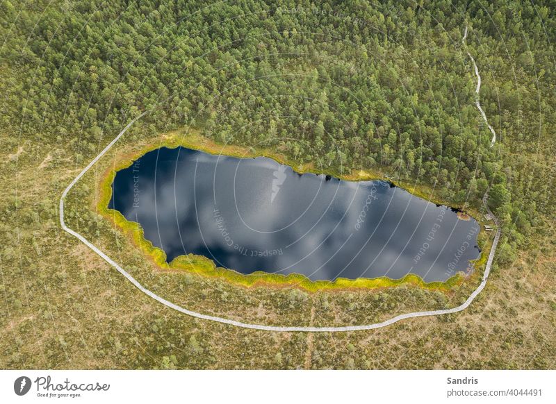 Kalnansu swamp lake with footbridge around, Kabile, Latvia air photography background beautiful blue colorful environment footpath forest forest path grass