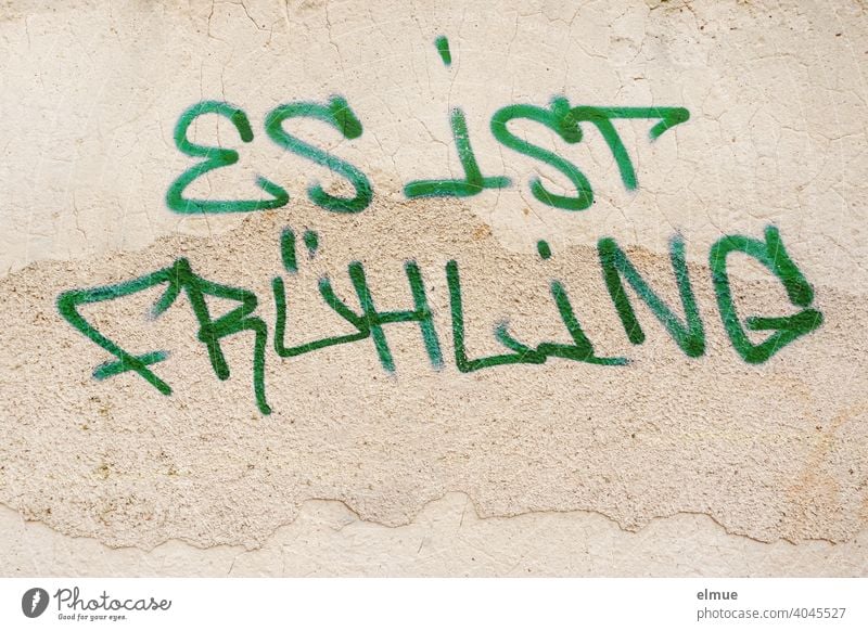 "IT IS SPRING" is written in block letters and green paint on the wall / graffito / spring feelings / youth culture. Spring Graffito Graffiti Wall (building)