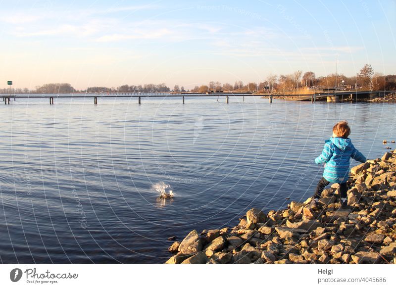 splash - back view of a little boy throwing a stone into the water at the shore of a lake Human being Child Boy (child) Toddler Infancy Joy fun Water Lake