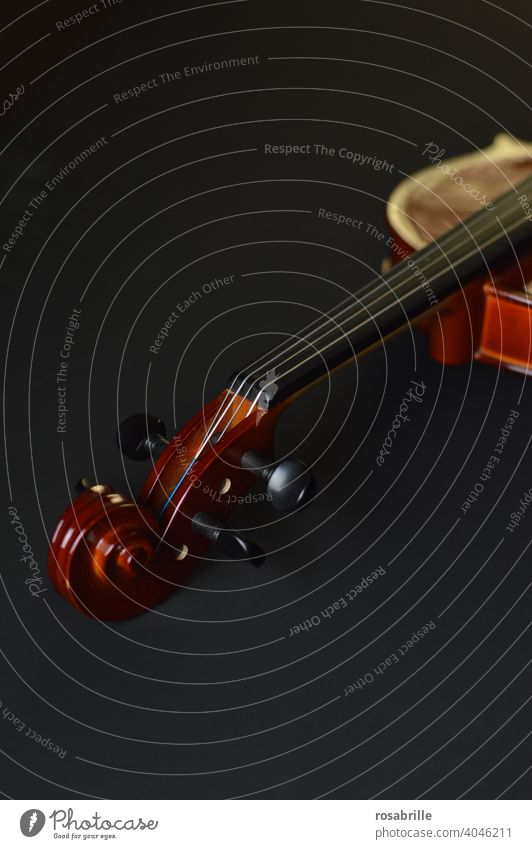 scroll Violin Crumpet Detail detail tool Musical instrument Make music Classic Classical Playing Ancient Old vertebra strings string instrument distinguished