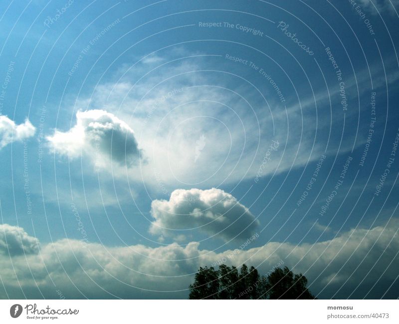 a lot of sky Clouds Moody Field Sky Blue Weather