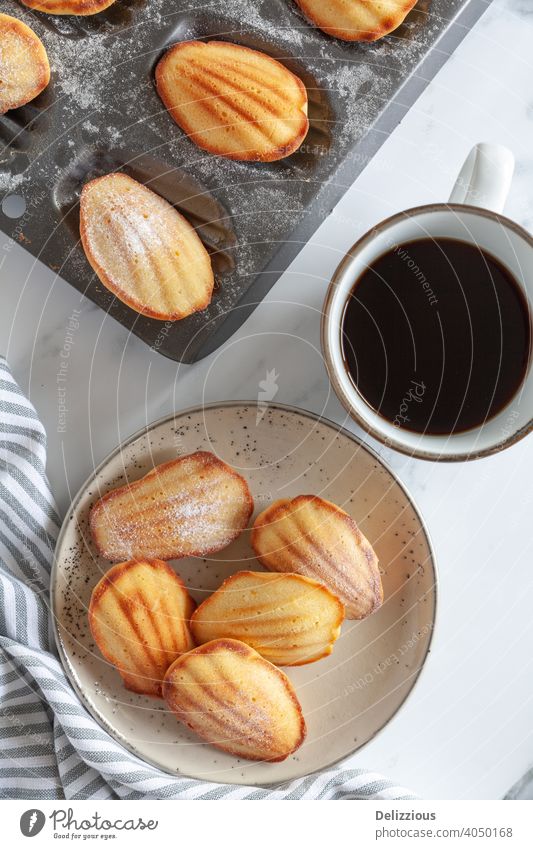 Top down view of freshly baked madeleine sponge cakes with coffee on a white marble surface madeleine cakes baking food home made sweet delicious sugar snack