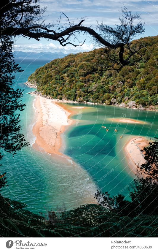 #AS# One Day In Paradise Ocean Sand Sandy beach kayaking Abel Tasman National Park New Zealand Blue Green Nature Landscape Exterior shot Summer Water Tourism