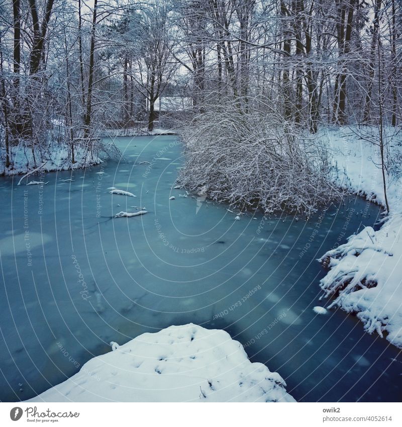 puddle Environment Nature Water Winter Ice Frost Snow Lake Freeze Cold Blue naturally Frozen Surface of water Exterior shot Deserted Colour photo Day