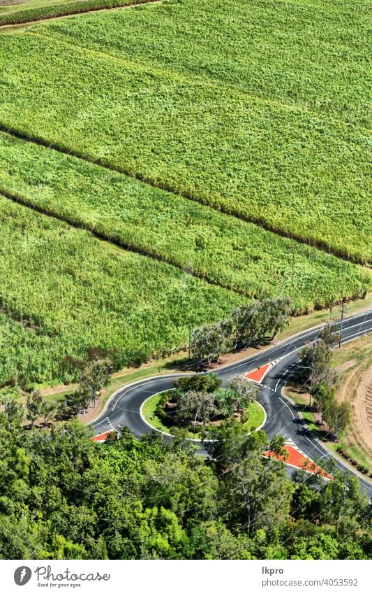 from the high field of colutivation view aerial angle top crop farm green agriculture nature corn above land landscape plant grass farming growth wheat