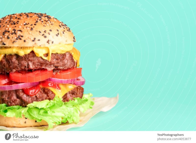 Hamburger side view close-up isolated on a green background. barbeque beef big bread bun cheddar cheese cheeseburger colored colors comfort food copy space