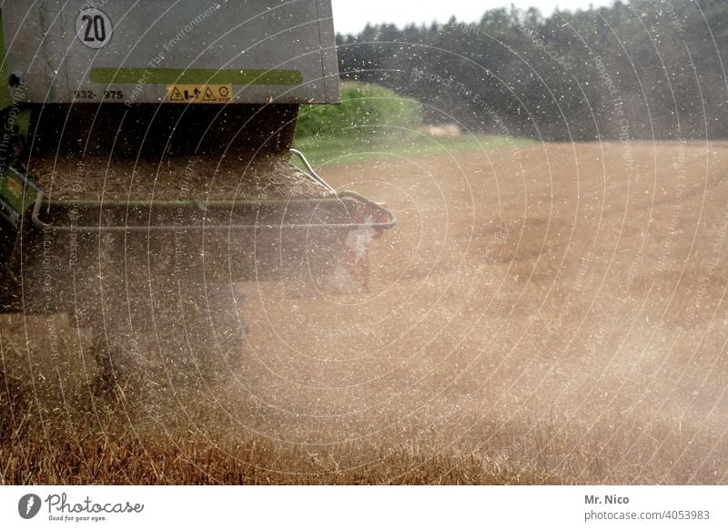 harvest time Agriculture Field Grain Summer Nature Grain field Cornfield Agricultural crop Wheat Harvest Environment Nutrition Growth Wheatfield Combine