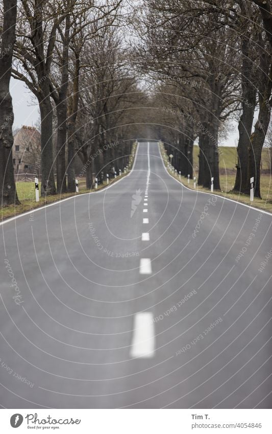 a long avenue in Brandenburg . It is almost spring Avenue Spring Empty Lanes & trails Exterior shot Deserted Central perspective Day Street