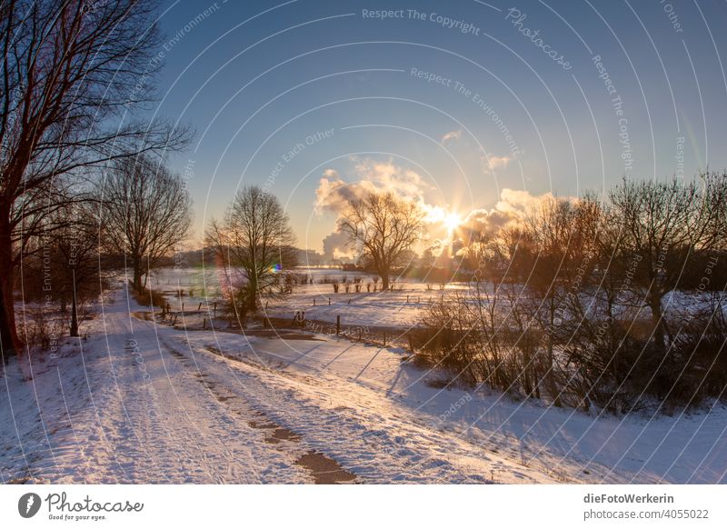 Sunrise at the snowy Rhine dike Traffic lane Sky Landscape Nature romantic Snow Gravel road Silhouette Water Winter Tree