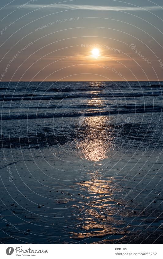 Yellow sunset over the horizon on the Wadden Sea with blue water Sunset Ocean coast Evening Vacation & Travel Waves Sky Beach Water Summer Summer vacation