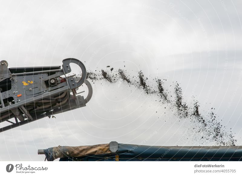 Construction machine throws road gravel onto a truck Construction machinery out Vehicle Town Street Transport Gray Black Construction site construction works