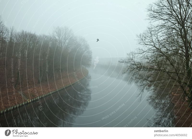 Teltowkanal in fog with bird Trip hazy Haze Relaxation holidays River Channel Landscape Morning Nature Fog Navigation Lake Sports Pond Dreary bank vacation