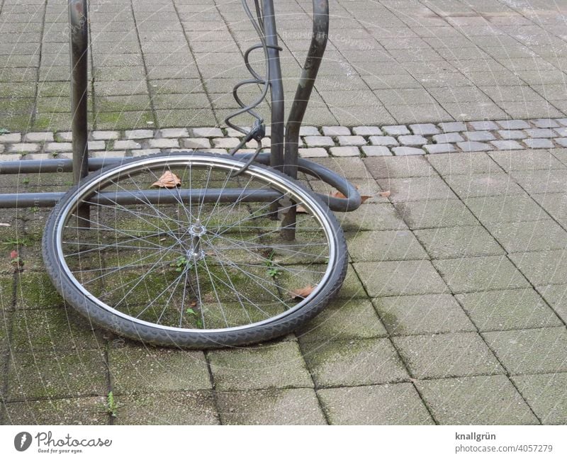 What was left of the bike... Bicycle tyre Bicycle rack Chained up bicycle lock Exterior shot Deserted Day Wheel Metal Tire Means of transport Spokes