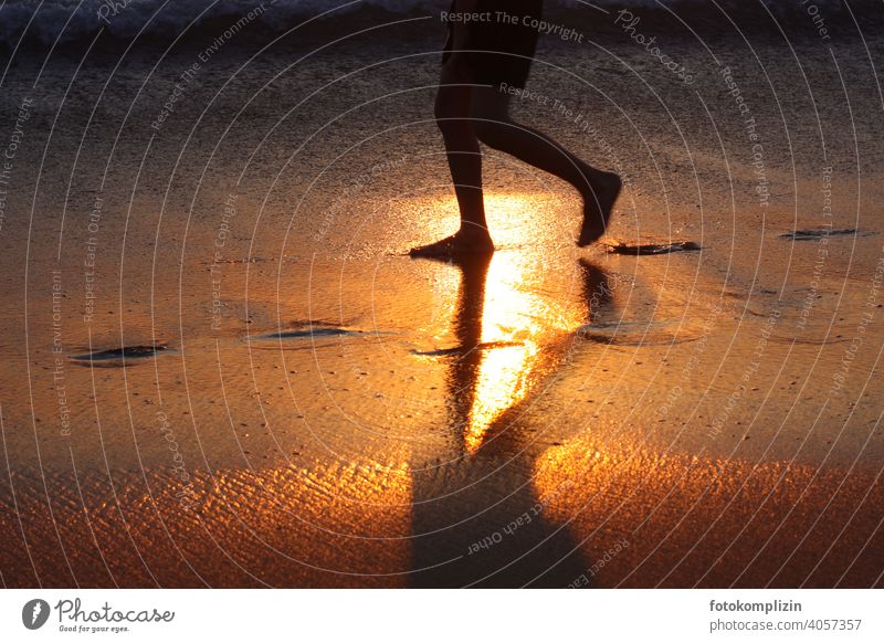 Children feet in golden illuminated wet beach sand Legs Children's leg Barefoot Feet Sand Beach Sunset Walking holidays Vacation & Travel Sludgy lido