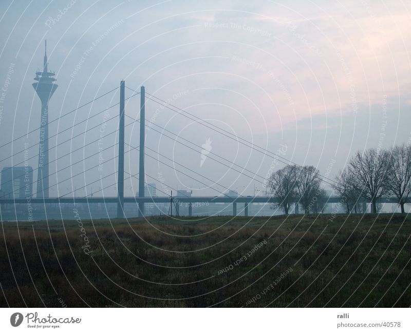 Rhine veil Fog Düsseldorf