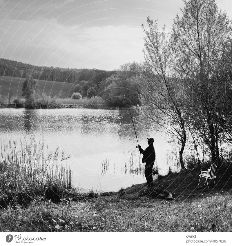 bitten into Lakeside Bushes Tree Beautiful weather Water Landscape Human being Adults 30 - 45 years Masculine Nature Environment Plant Sky Movement Angler