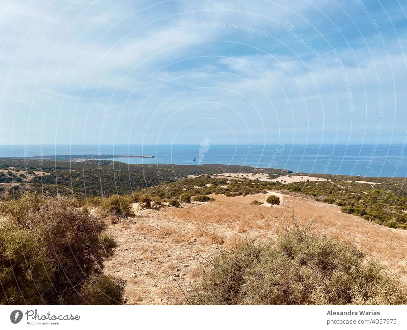 Nature reserve with trees by the sea in Cyprus Landscape Ocean Tree bushes scrub Deserted Europe