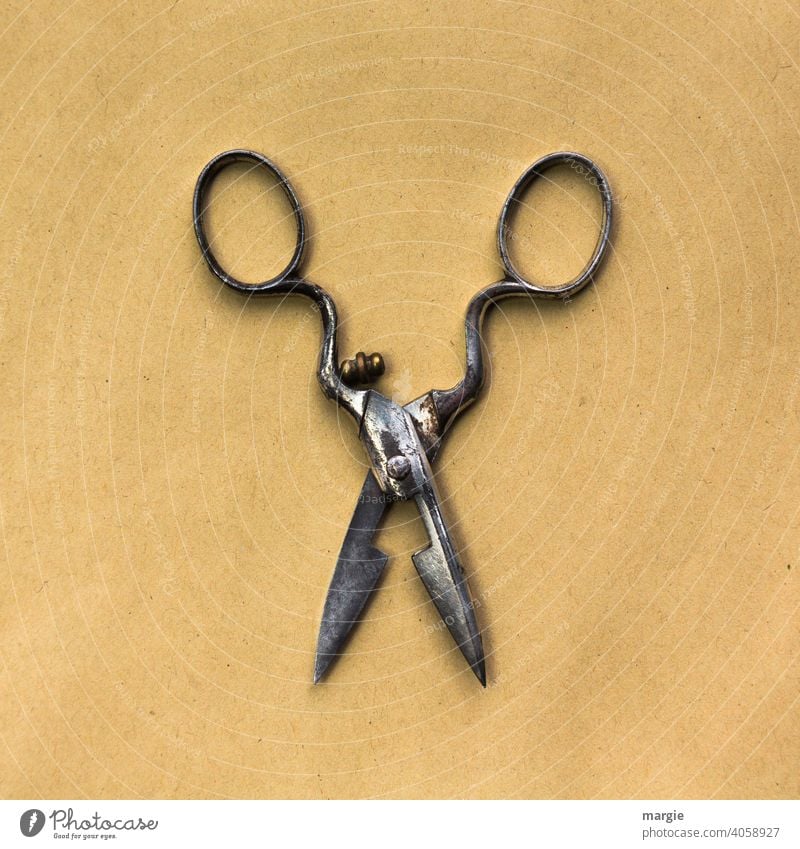 An old rusty scissors on neutral brown background Claw Old Nostalgia Rust Deserted Metal Retro Brown Detail Close-up Past Subdued colour cut Handicraft Paper